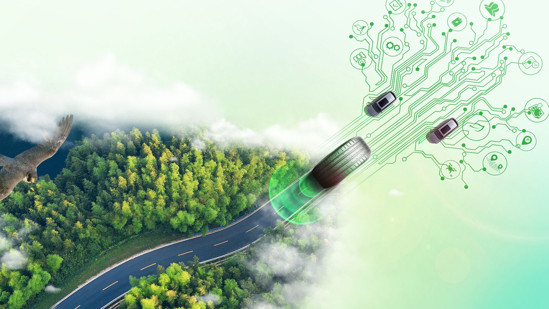 微信圖片_20241018155803 微信圖片_20241018155803